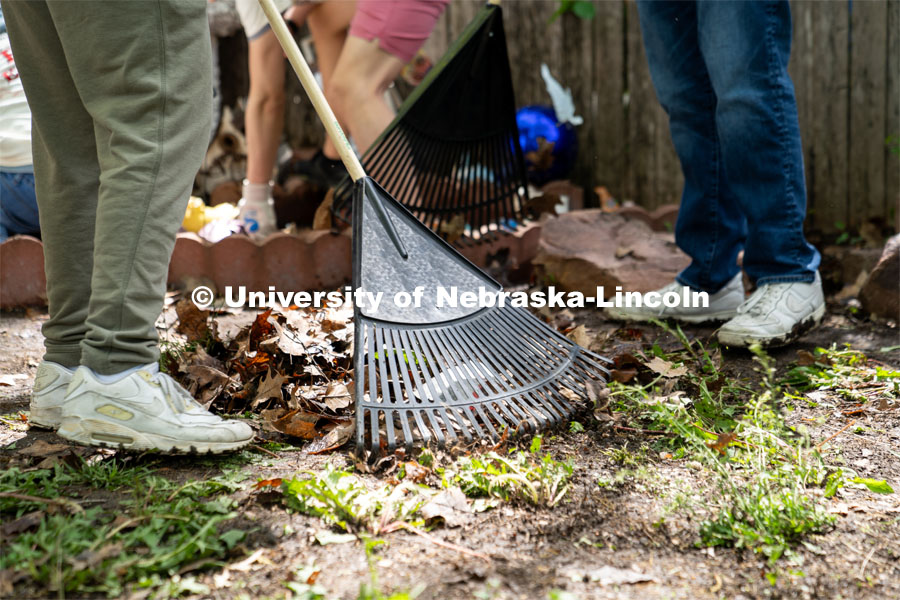 Students of Delta Phi Fraternity rake leaves in a homeowner’s garden during the Big Event. May 4, 2024. Photo by Kirk Rangel for University Communication.